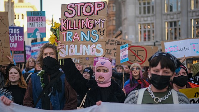 Revolutionary trans politics and the three way fight: an interview with rowan